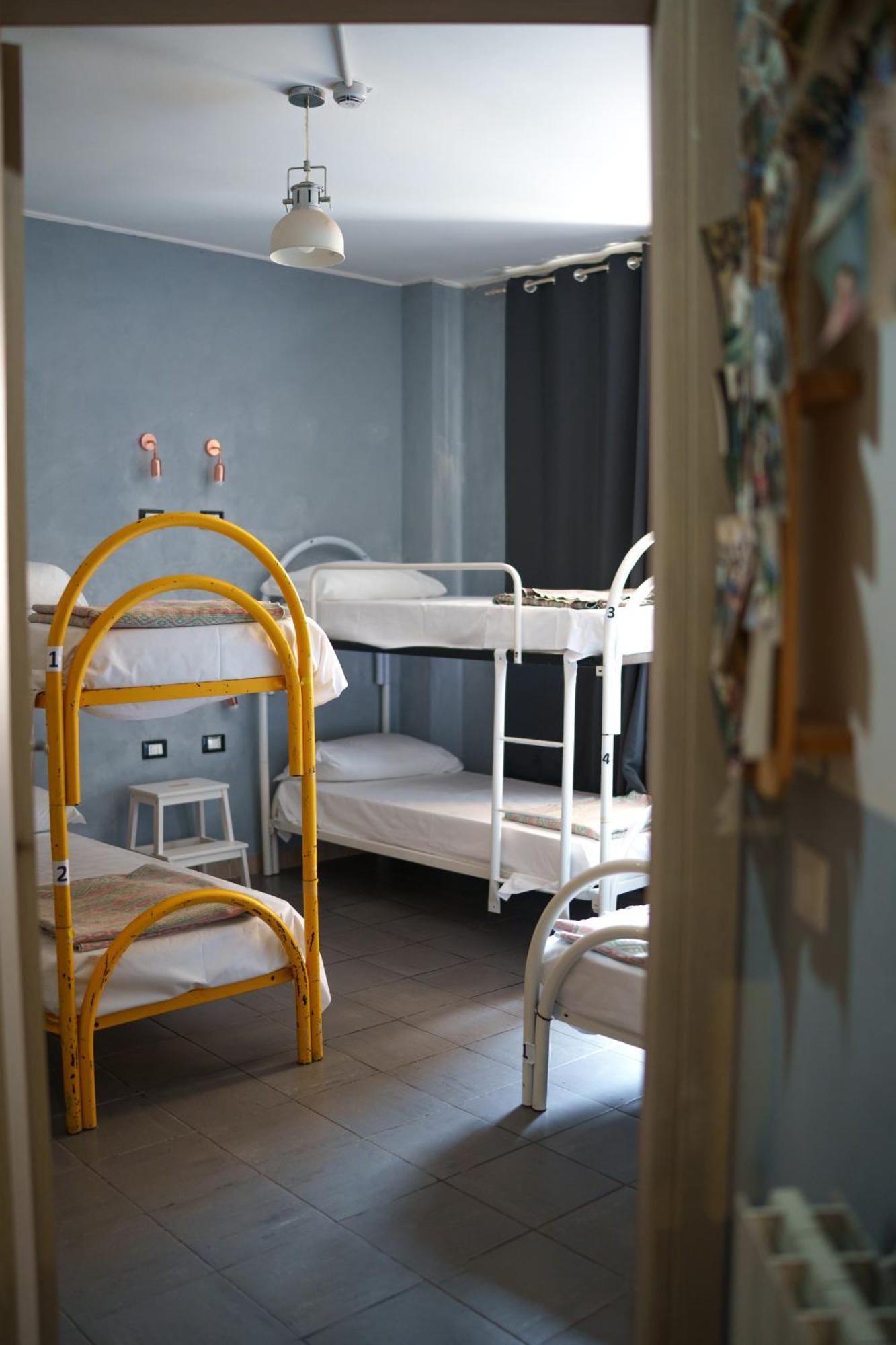 Hostel Lion & Youth