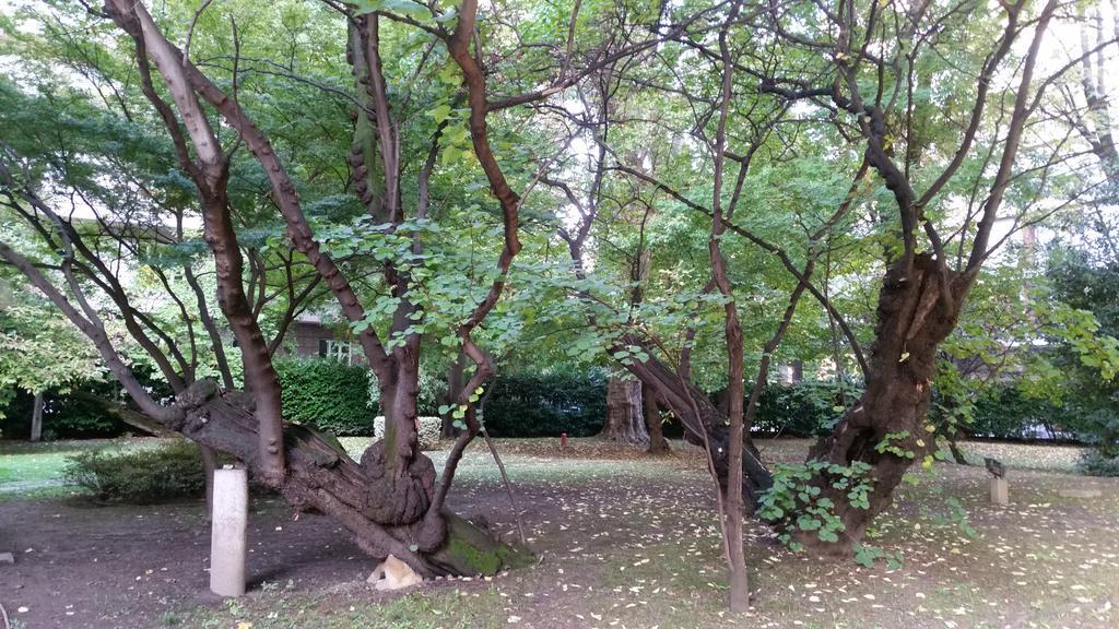 Park Emma Mailand