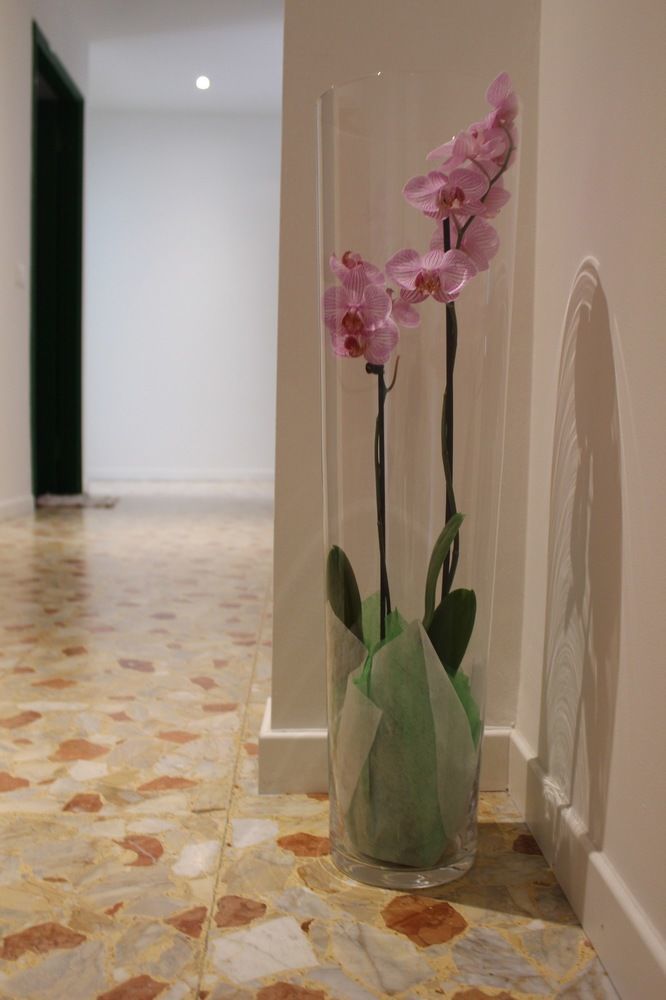 Casa 3*