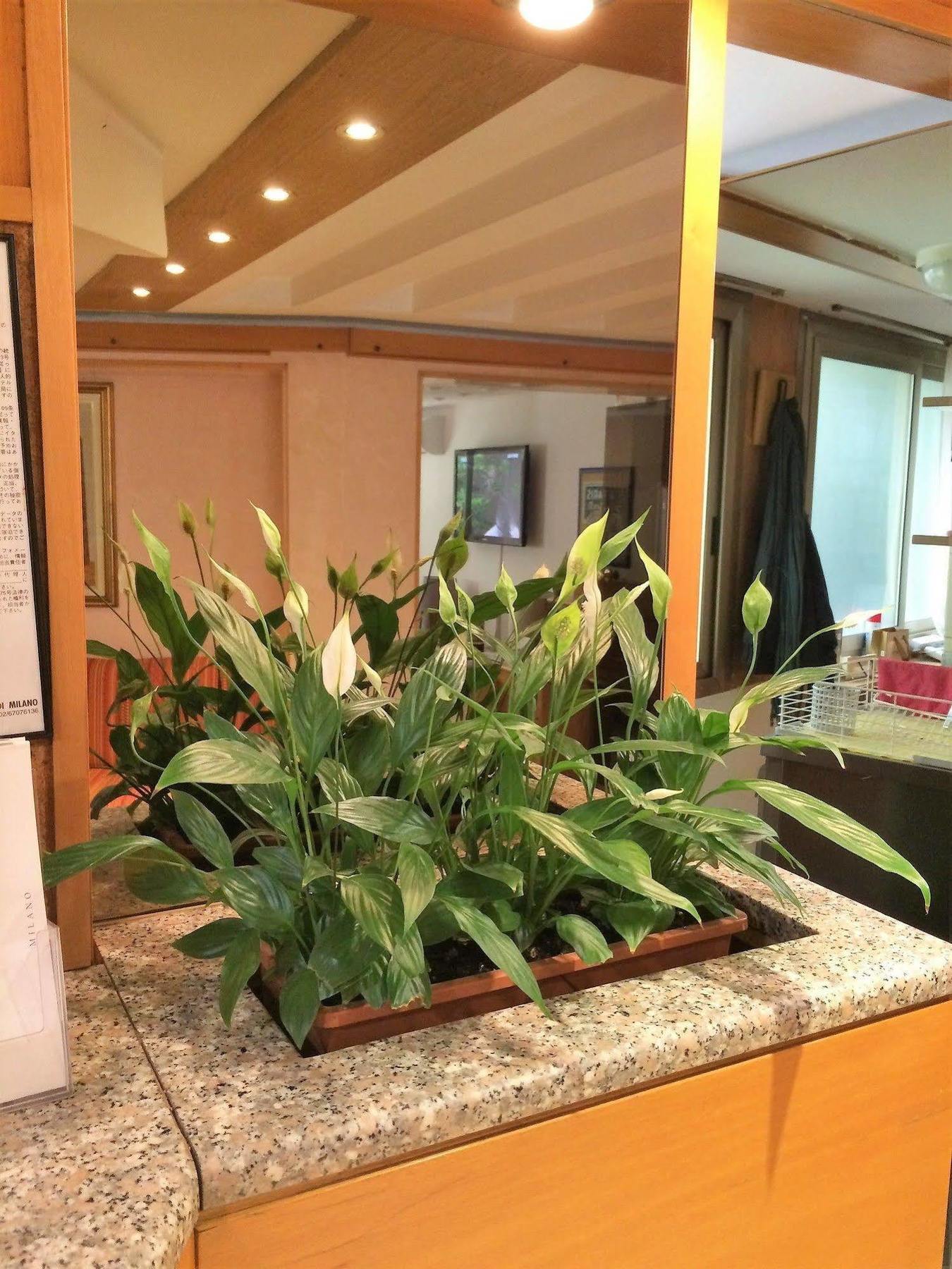 Citta Studi Hotel 3*