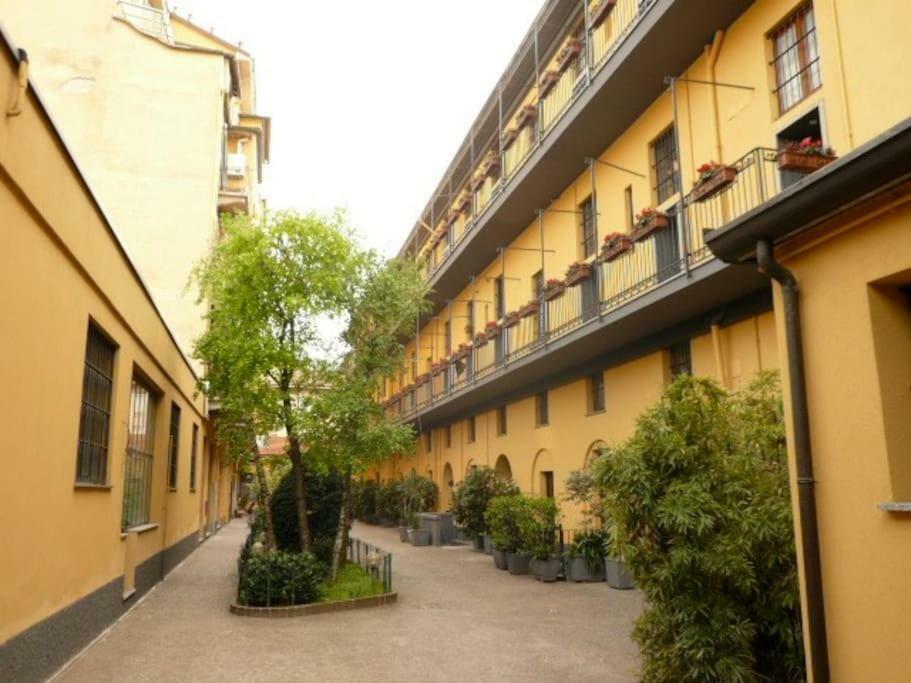 Casa David