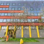 Mi Casa Ponale