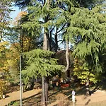 Oca Grassa B&B