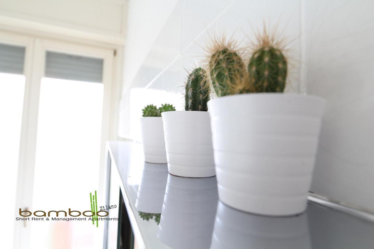 Appartement Bamboo Papiniano Loft