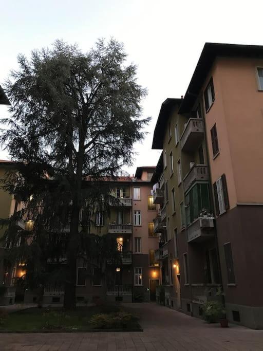 In Zona Bocconi