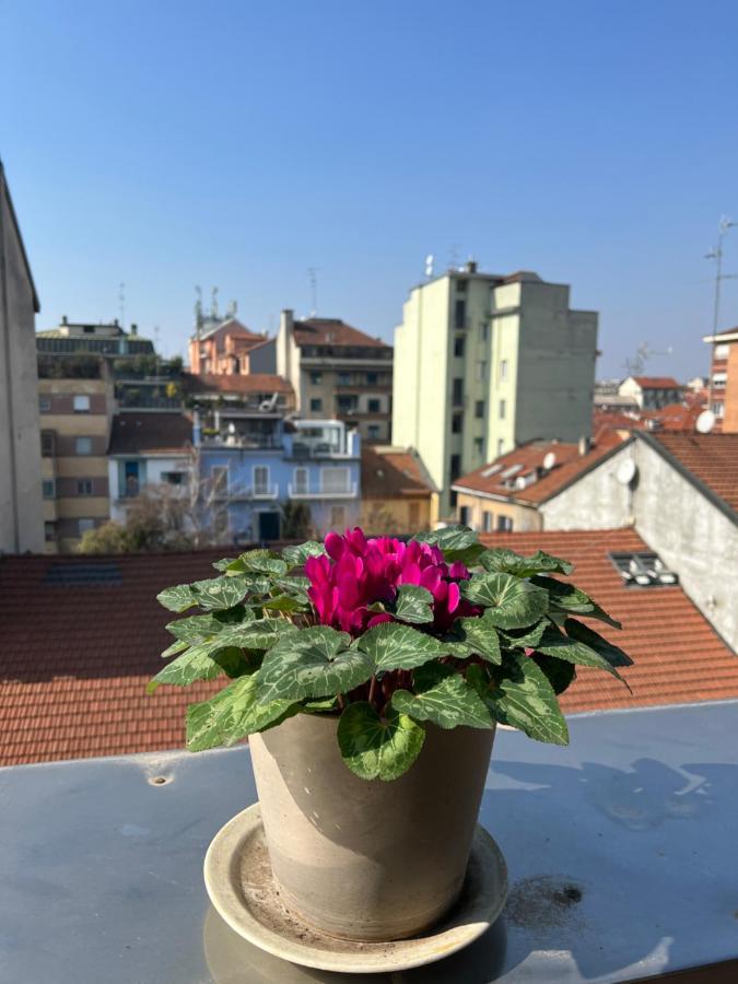 - Citta Studi Appartement *