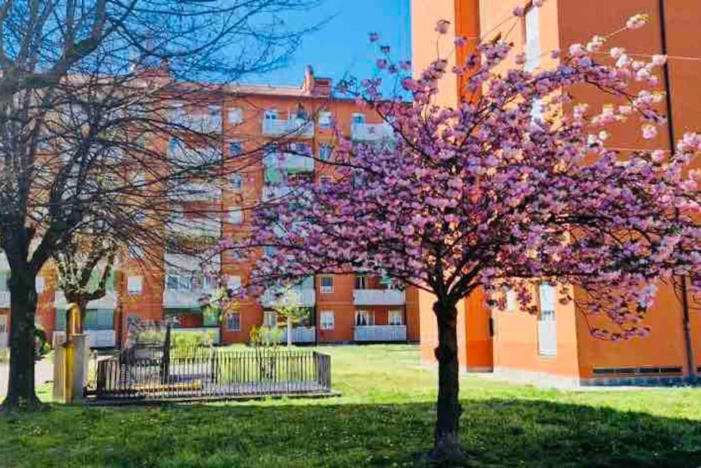 Leilighet Fk House