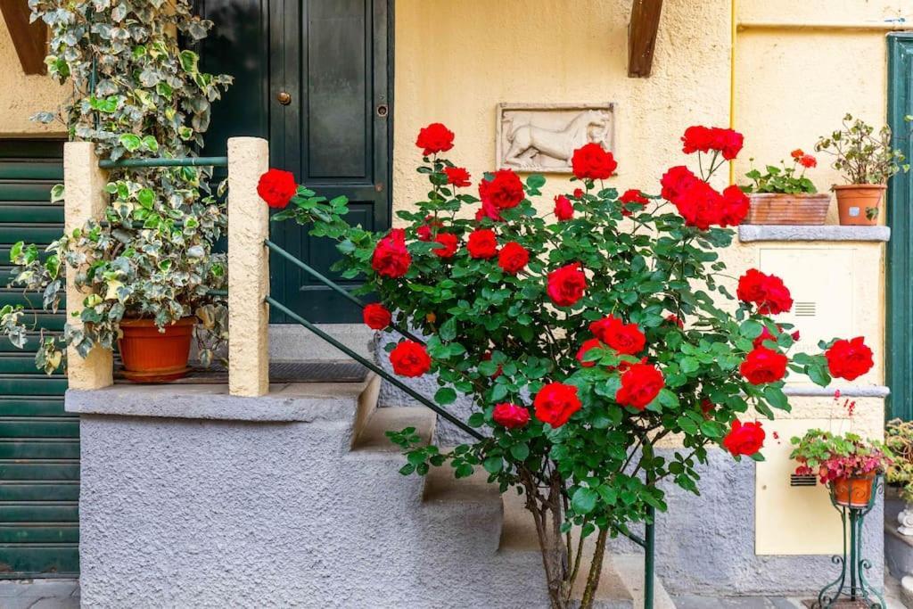 Appartement Relax In A Typical Courtyard - Navigli
