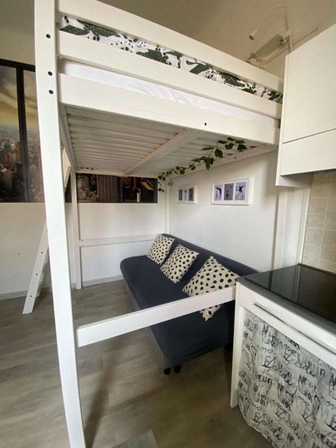 Domus *