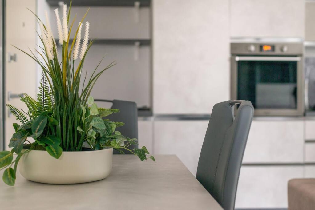 Appartement We - Uptown74 Bloom - *