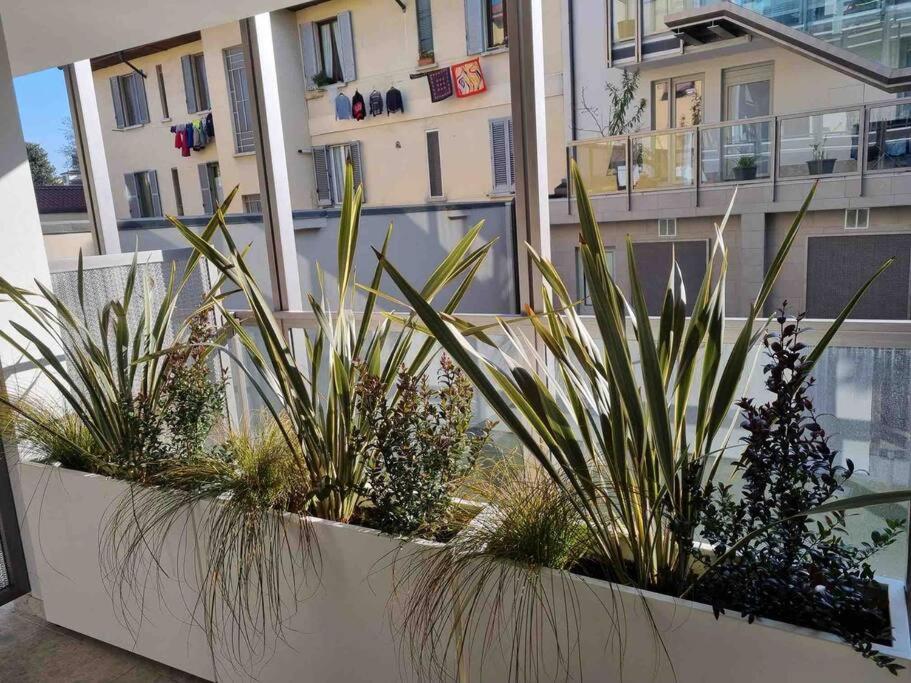 Dimora Il Cortile Casa vacanze *