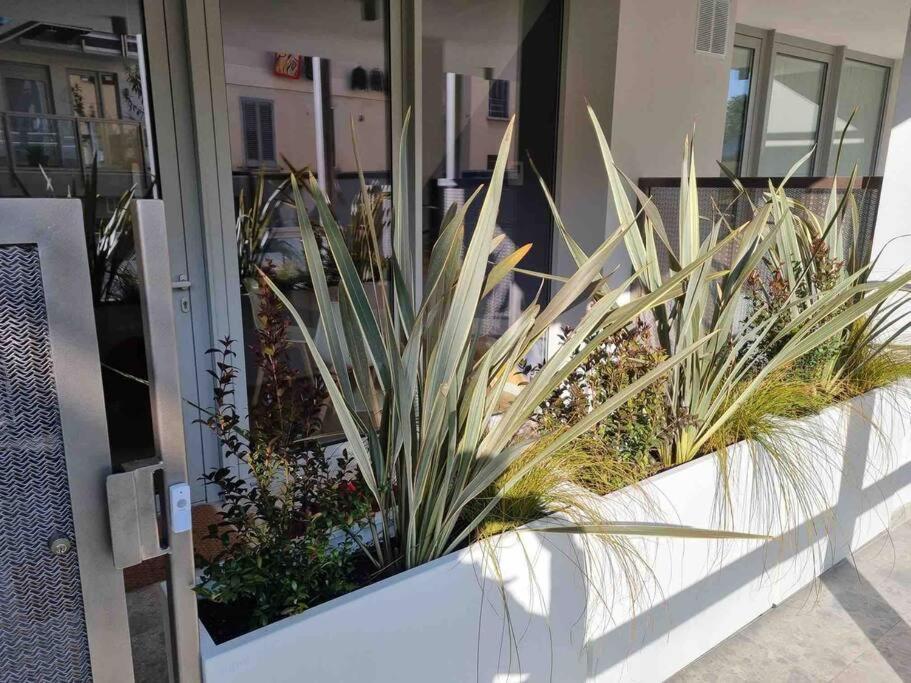 Dimora Il Cortile Casa vacanze