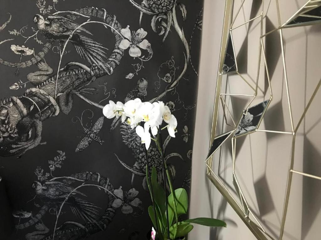 Lippi 42 Single Room's In With Garden * Milaan