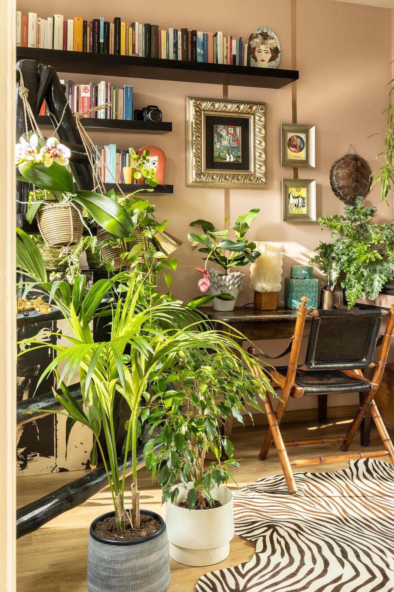 Leilighet Maison Deco: 60 Mq Di Accoglienza *