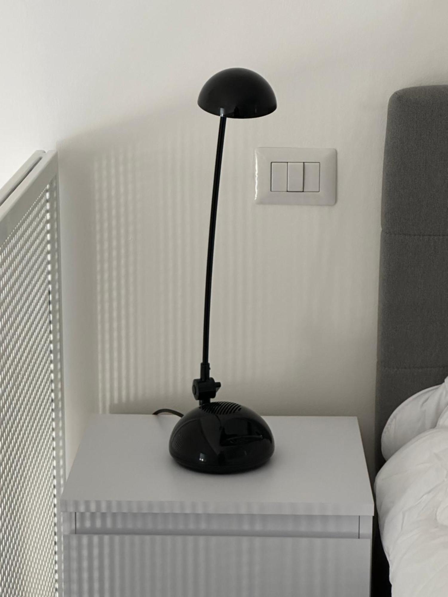 White In Apartment *