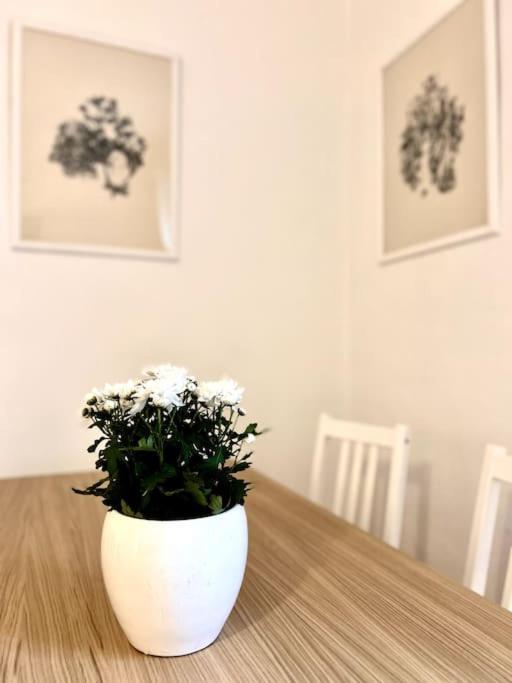 Apartment Elegante In Centro *