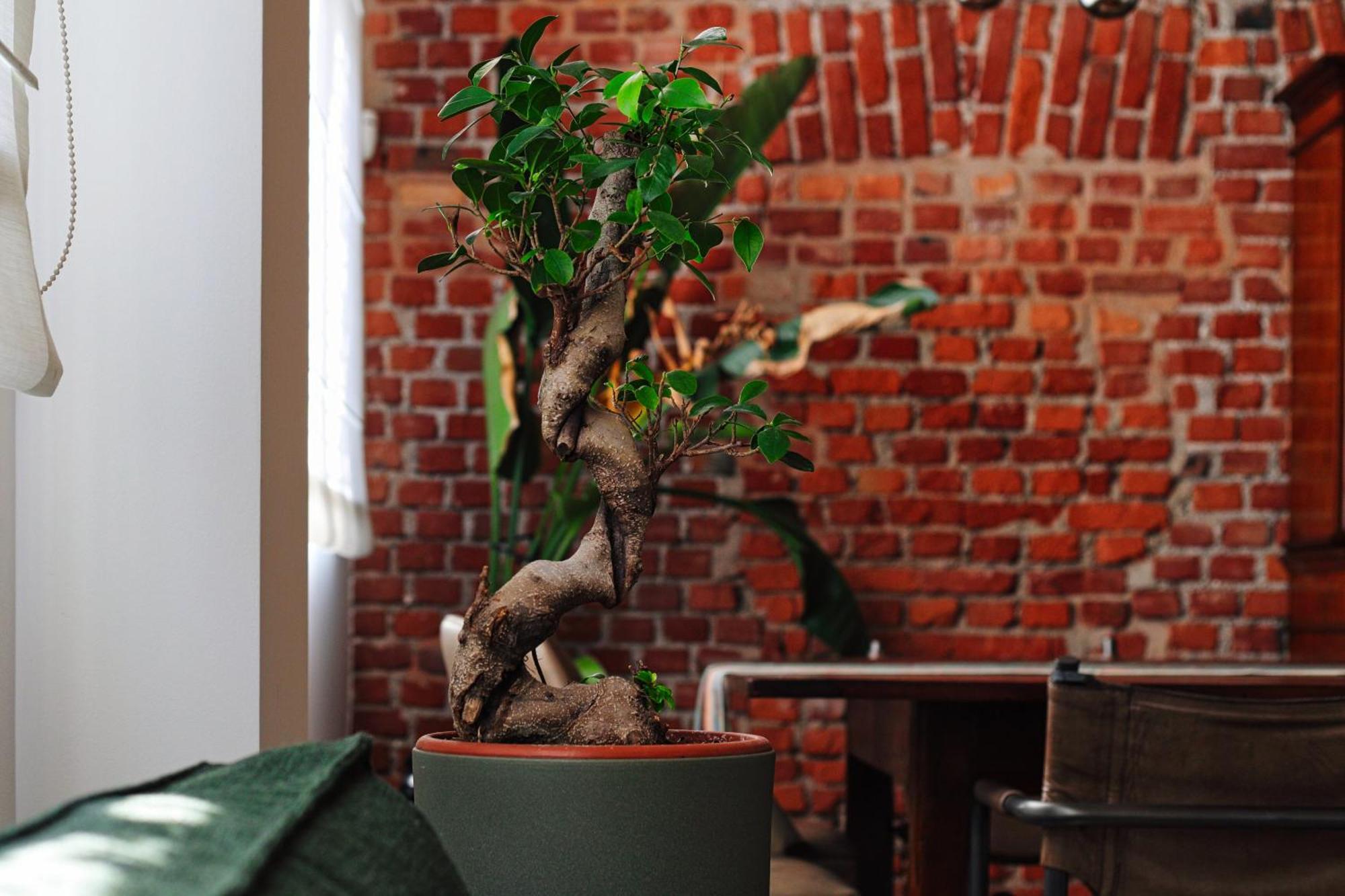 Apartment Mpm- Luxury Loft Navigli Mailand