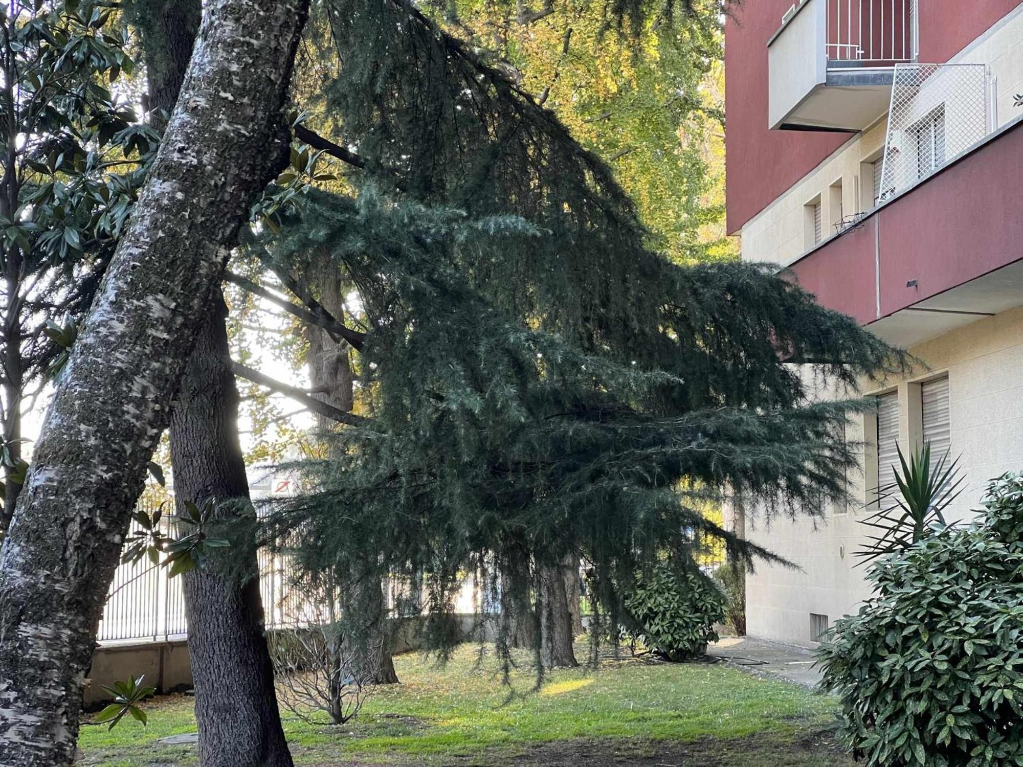 Jabu Wifi Gigabit Fiera Rho Apartment *