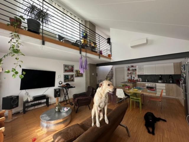 Pm 57 Via Giovanni Antonio Amadeo Appartamento Milano