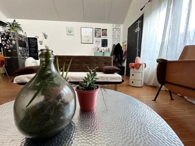 Pm 57 Via Giovanni Antonio Amadeo Milano