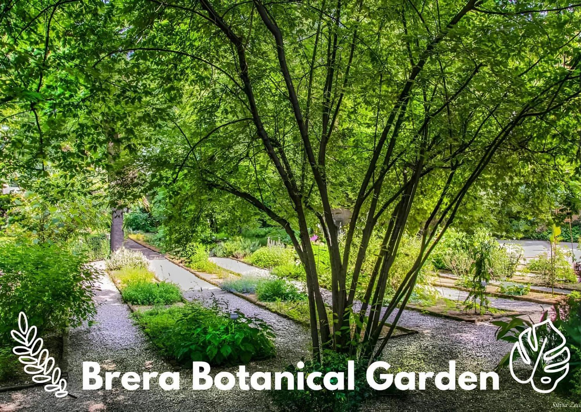 Appartement Brera Vip Spotlight - Brera - Duomo - Castello Sforzesco - Lanza Metro M2