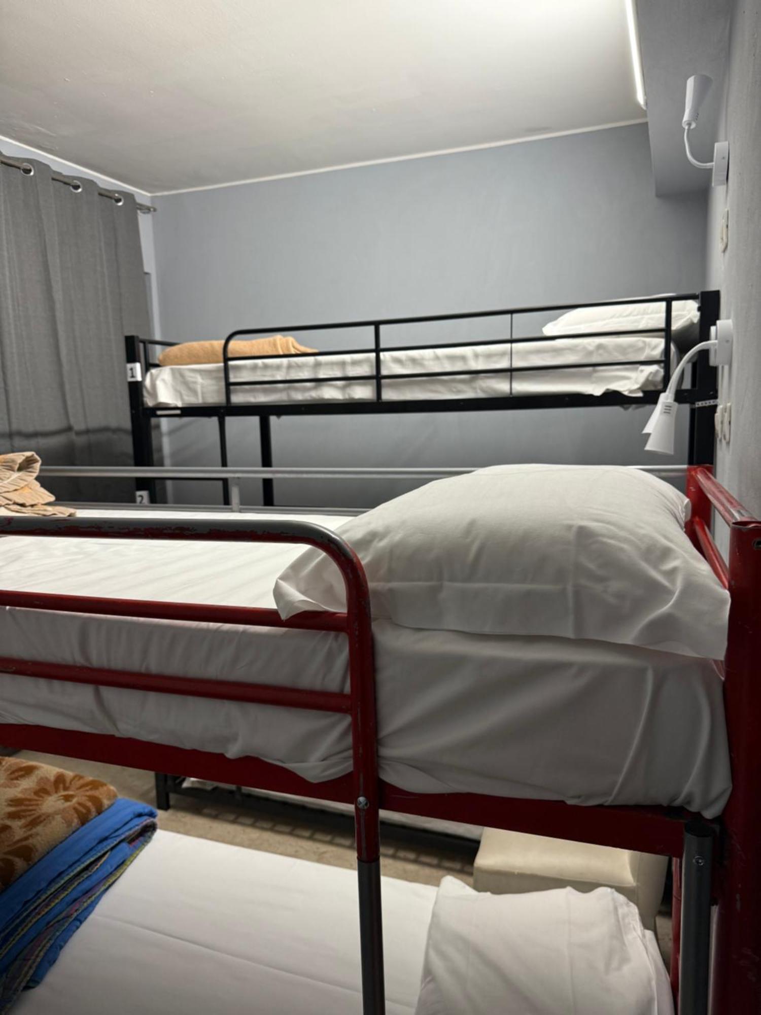 Guest house Lion University&youth 2 *