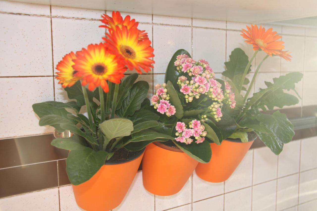 Lotus Frühstückspension