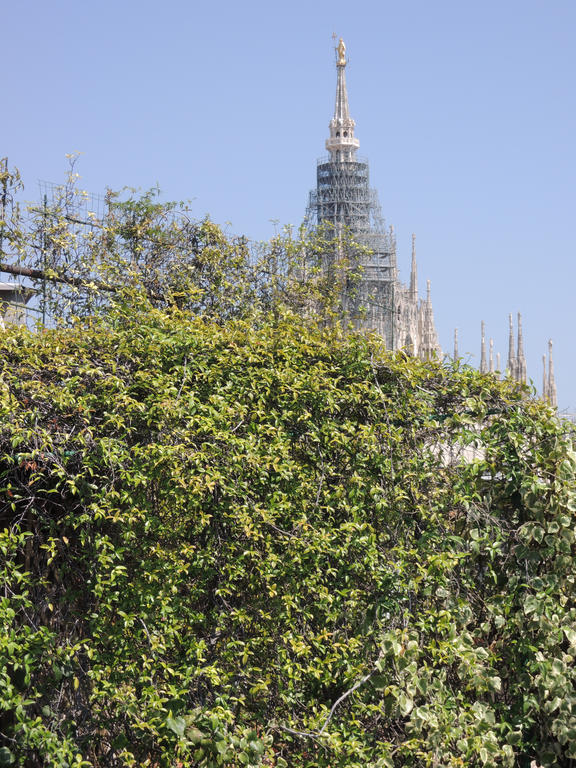 Duomo Milaan